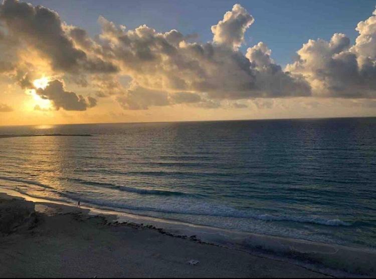 Studio Oceanfront Prime Location Cancun Dış mekan fotoğraf